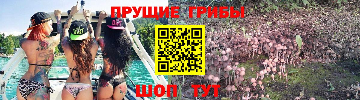 Псилоцибиновые грибы ЛСД  Вход с VPN  Карпинск 